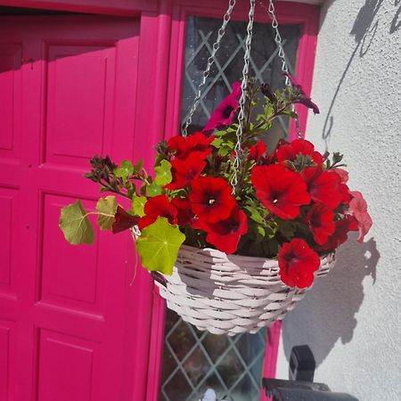 The Pink Door Leilighet Killala Eksteriør bilde