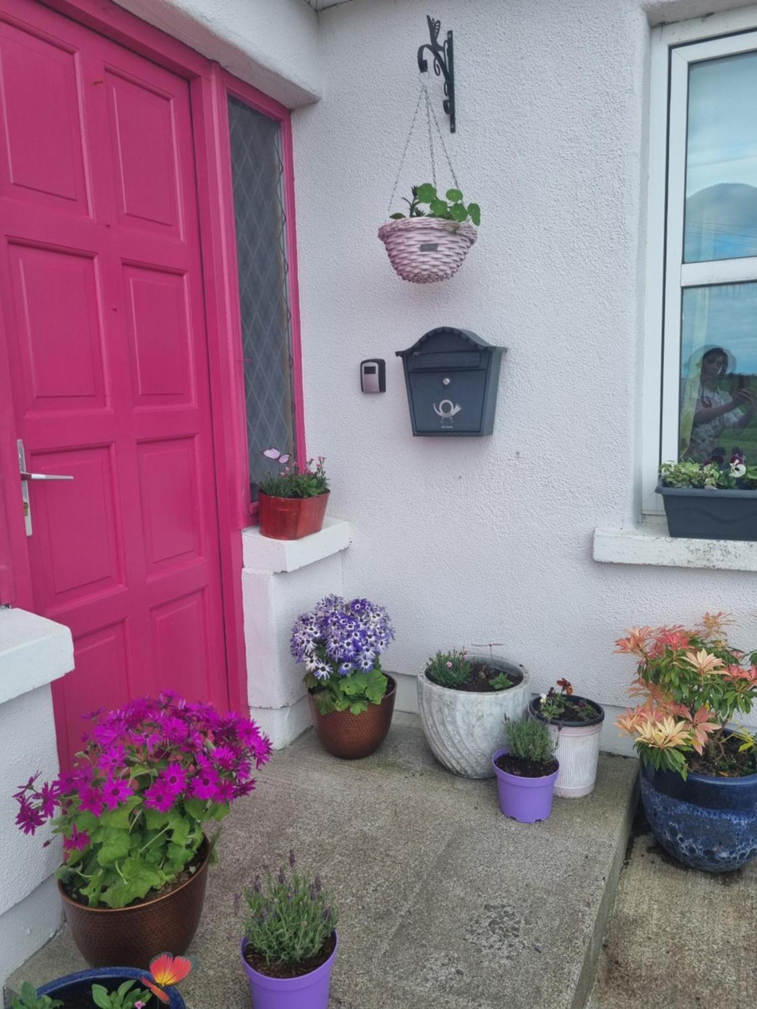 The Pink Door Leilighet Killala Eksteriør bilde