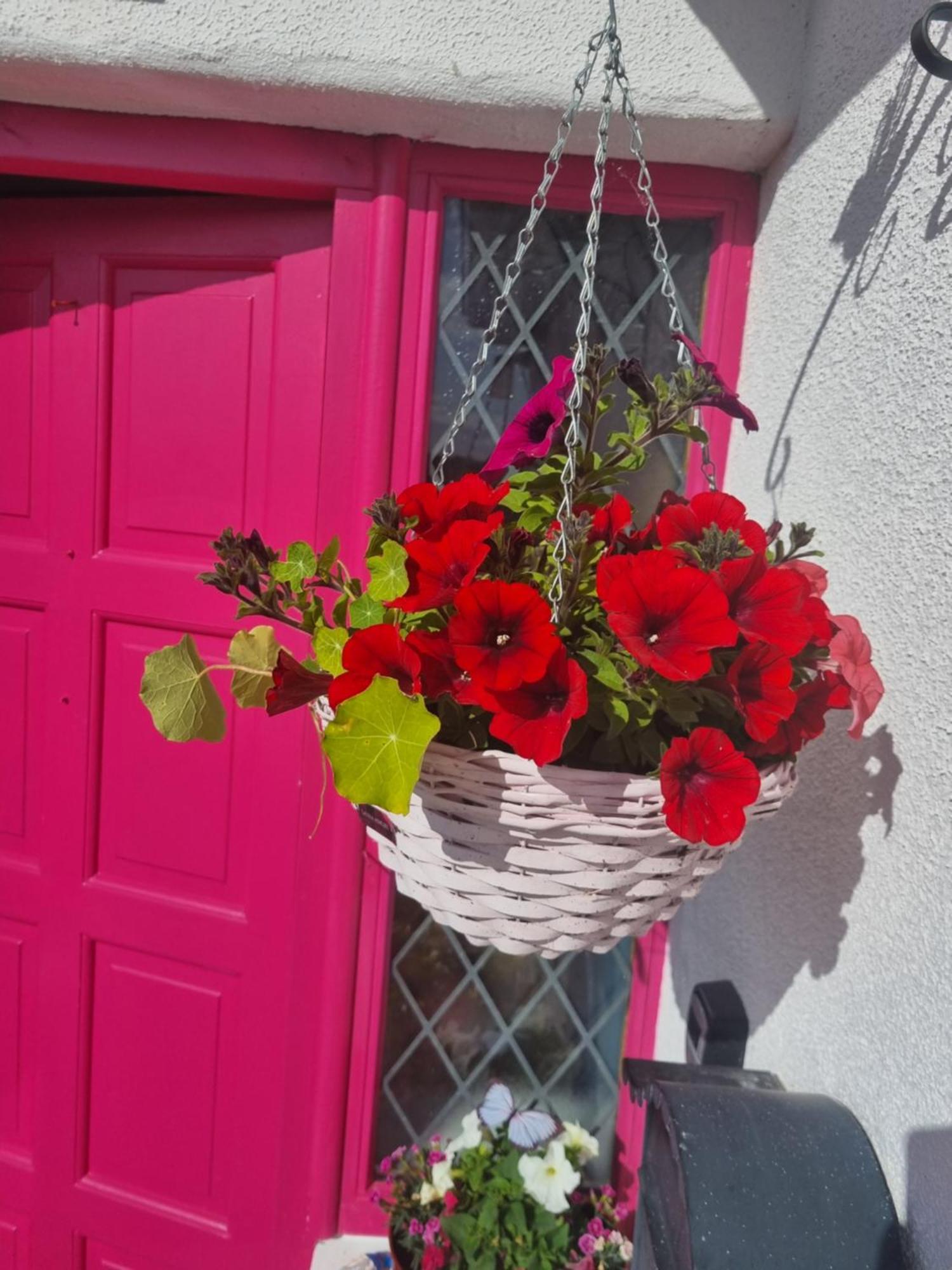 The Pink Door Leilighet Killala Eksteriør bilde
